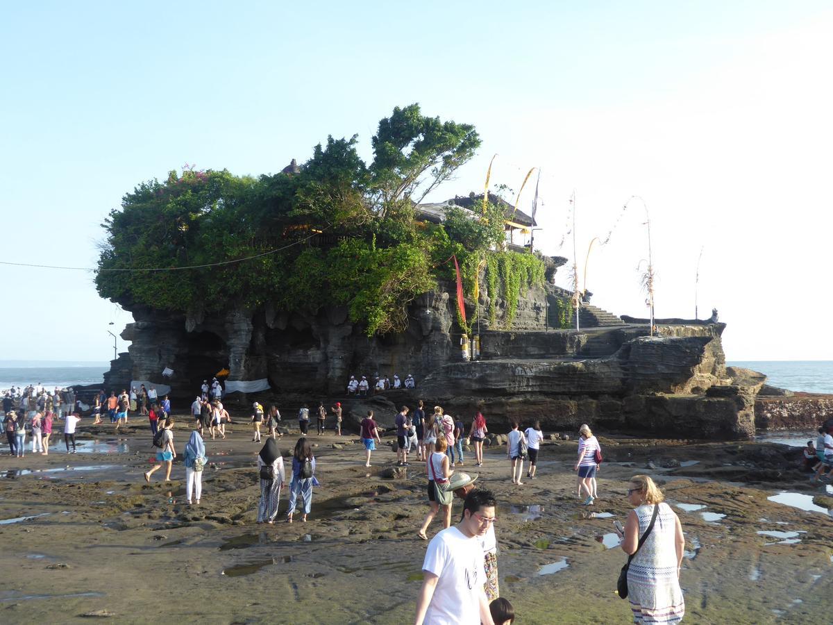 Canggu Surf Hostel Экстерьер фото